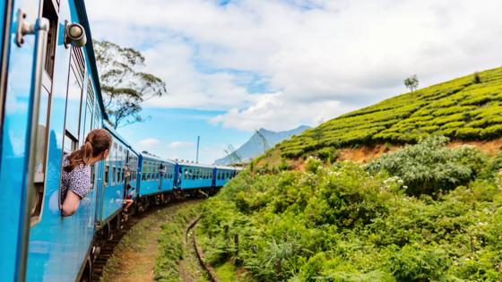 sri-lanka_algemeen_rondreis-sri-lanka_blauwe-trein_thee-plantages_begroeiing_shutterstock