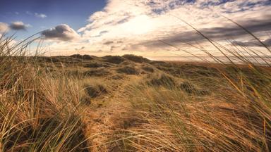 denemarken_zuid-denemarken_fano_duinen_gras_zee_strand_zonsonsdergang_shutterstock_1061278640