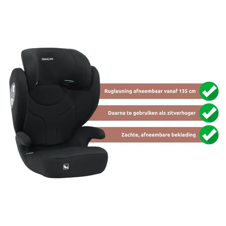 Rio Isofix 100-150 cm i-Size Autostoel