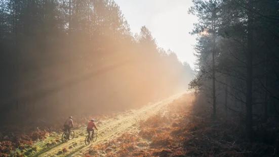 Twee fietsers rijden door een zonovergoten bos in de ochtend.