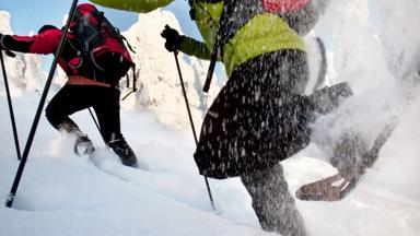 Finland_Fins Lapland_Sneeuwschoenwandelen