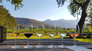 zuid-afrika_west-kaap_franschhoek_wijn_wijngaard_shutterstock-1794809665