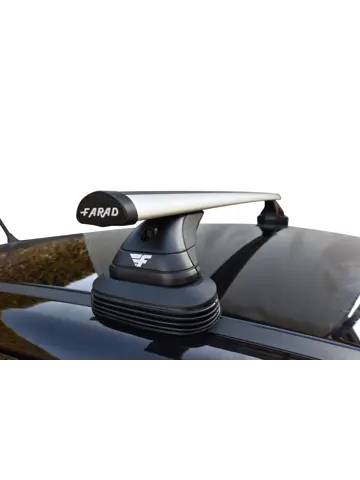 Dakdragers Tesla Model Y 2020>