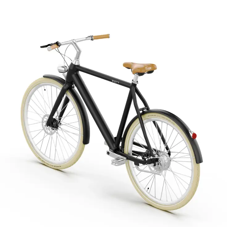 Dublin E-Bike Heren 54CM