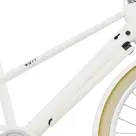VALENCIA E-BIKE 54CM ZWART