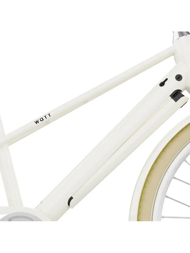 Valencia E-Bike 54CM