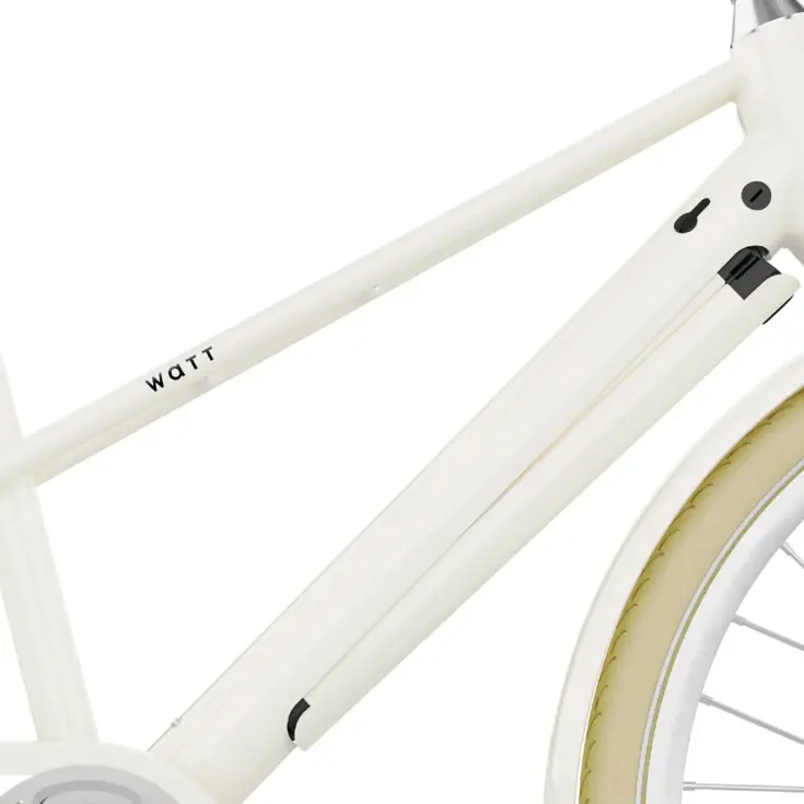 Valencia E-Bike 54CM