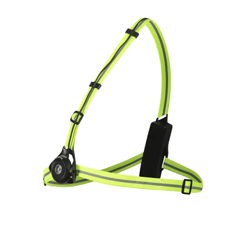 BOWINQ Boston 500 - Borstlamp oplaadbaar