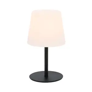 Elin lamp
