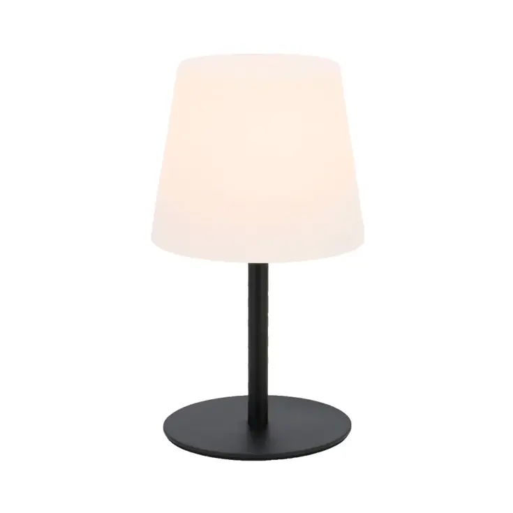 Elin lamp