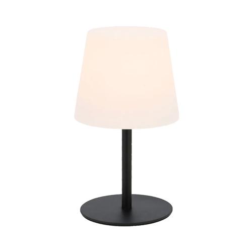 Elin lamp