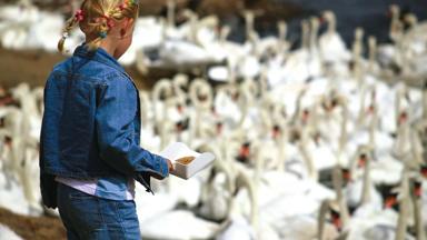 Beeld kan niet gebruikt worden ivm copyright onbekend