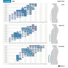 Explore - Fietsshirt Heren - Rogelli