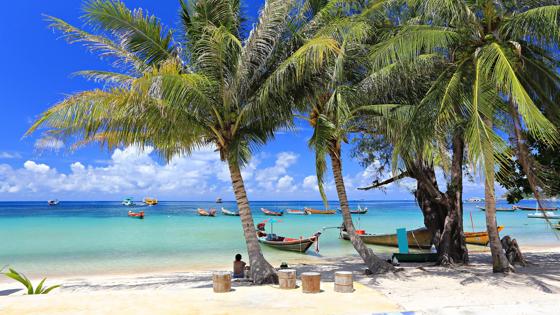 thailand_koh-tao_strand_tropisch-sfeerbeeld_shutterstock_355604591.jpg