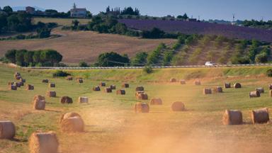 frankrijk_provence-alpes_autoweg_auto_hooibalen_lavendel_heuvels_GettyImages-1225434905