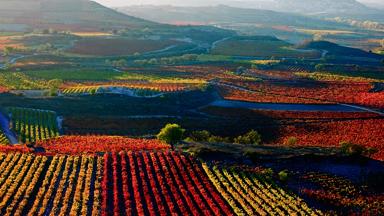 spanje_la-rioja_haro_wijgaarden_herfst_getty-134104074