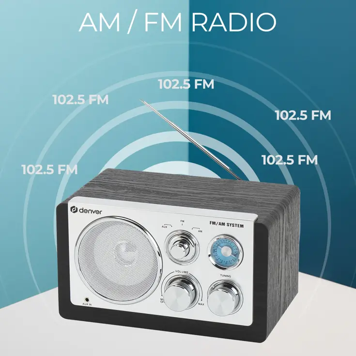 FM radio AUX input Retro design