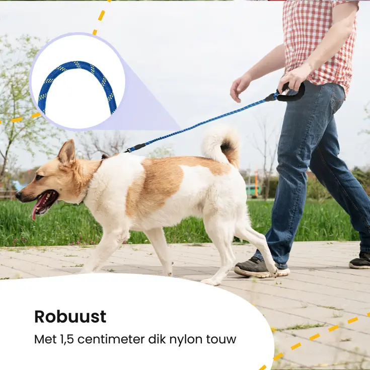 Reflecterende Hondenriem 3m