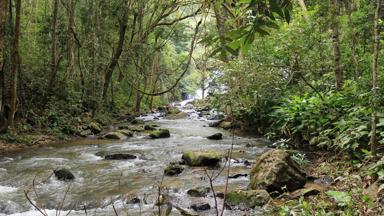 thailand_chiang-mai_doi-ithanon-national-park_natuur_rivier_oerwoud_f