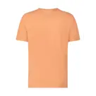 Morgan – T-shirt Heren