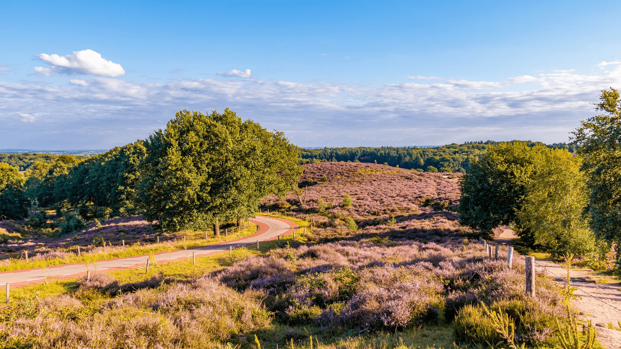 3-daags arrangement Veluwe - Veluwe Hotel de Beyaerd afbeelding