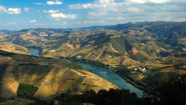 portugal_douro-vallei_wijngaarden_alto_rivier_luchtfoto