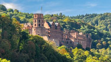 duitsland_baden-wurttemberg_heidelberg_schloss-heidelberg_ruine_bos_pixabay