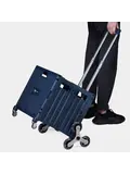 Boodschappenkrat - 50L - Trapwielen