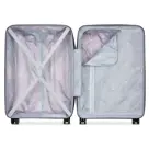 Delsey Ordener Trolley M  |62 L