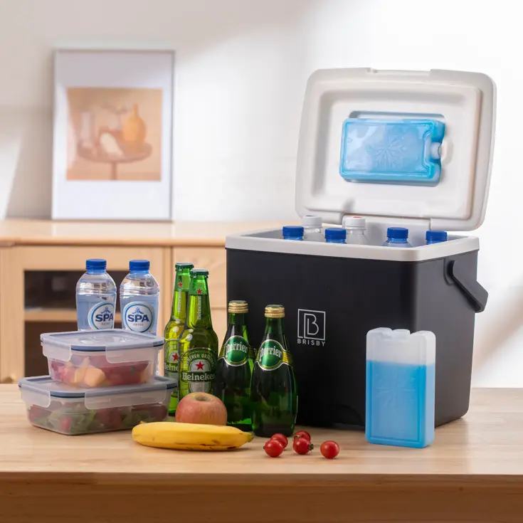 Koelbox - Lunchbox - 13L