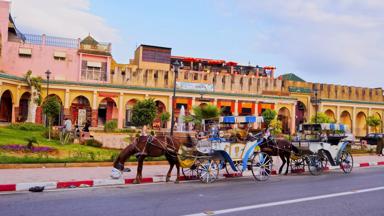 marokko_fez-meknes_meknes_straatbeeld_koets_paard_weg_b