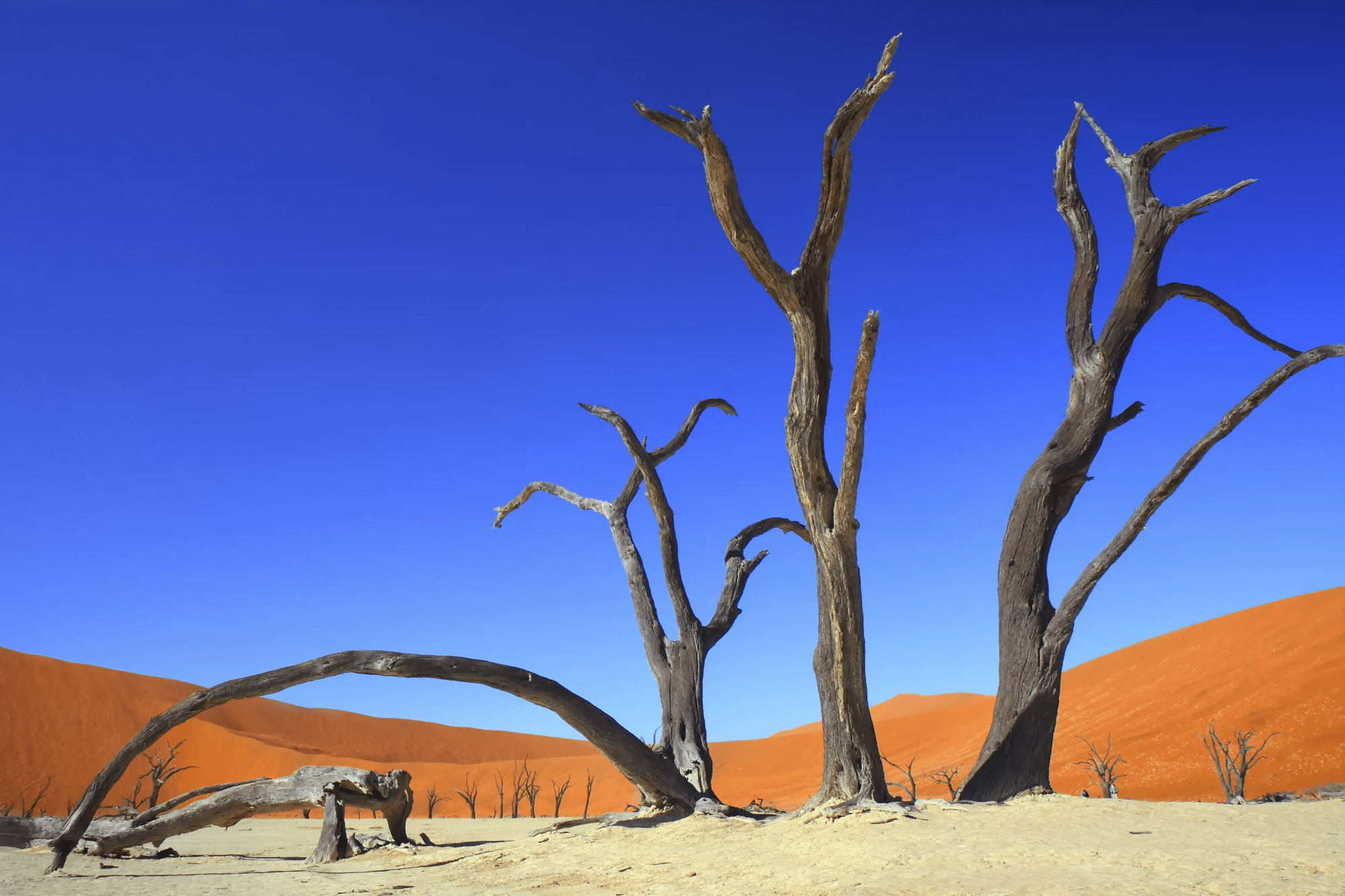 17-daagse privérondreis Buitengewoon Namibië Deluxe met huurauto