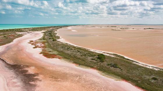 fox-mexico-algemeen-roze water aan de kust-yucatan