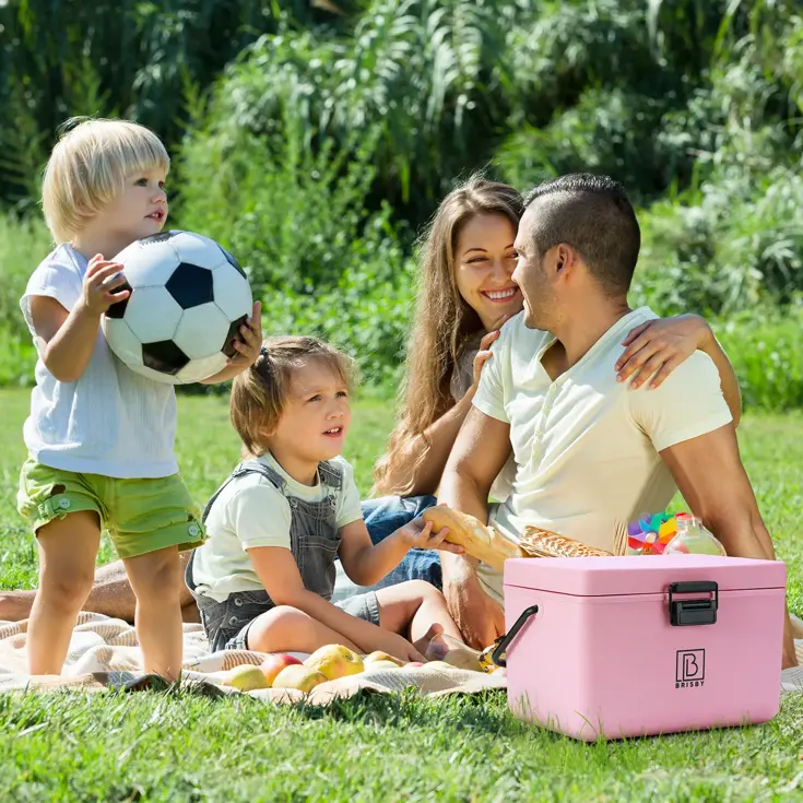 Koelbox - 12L - Draaghendel