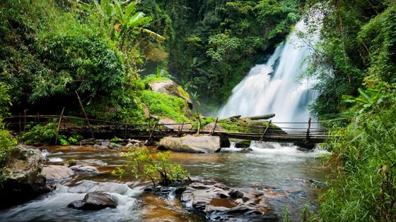 thailand_chiang-mai_doiInthanon_shutterstock