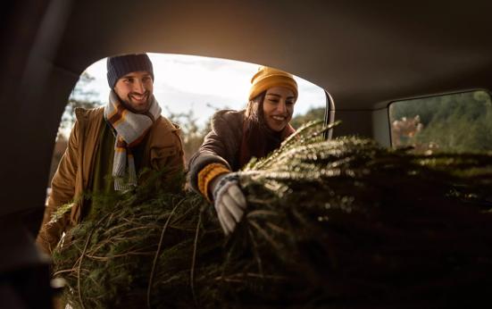 Kerstboom vervoeren zonder bekeuring