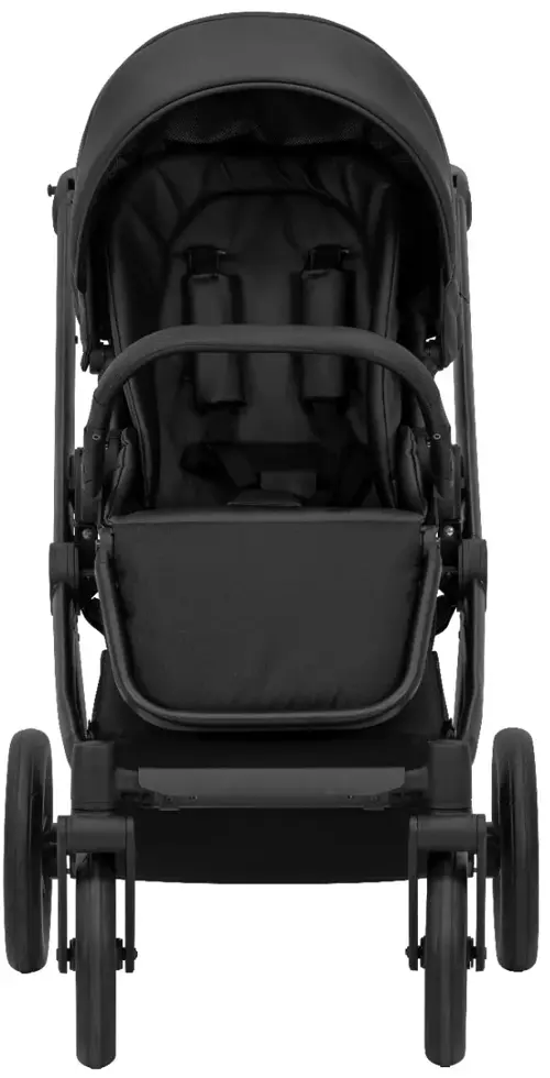 Brav 2-in-1 Kinderwagen