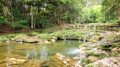 cuba_las terrazas_natuurpark_f (3)