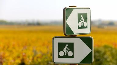 sfeer_frankrijk_bourgogne_veloroute_tussen-dijon-en-beaune_fietsbordje_wijngaard_copyright_alain_doire_bourgogne-franche-comte-tourisme