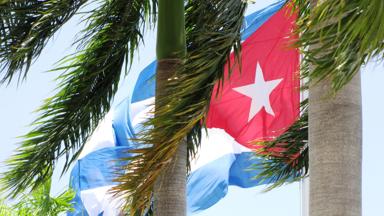 cuba_algemeen_vlag_palmbomen_w