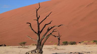 namibie_sossusvlei_deadvlei_1_w.jpg