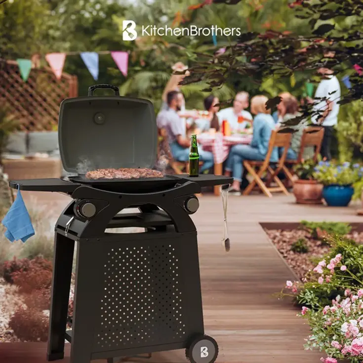 Gas BBQ – 2 Branders