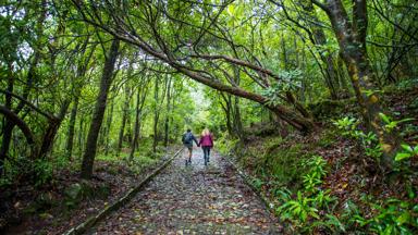 Portugal_sfeerbeeld_Madeira_Natuur_binnenland_bergen_©Andre Carvalho_v (11).jpg