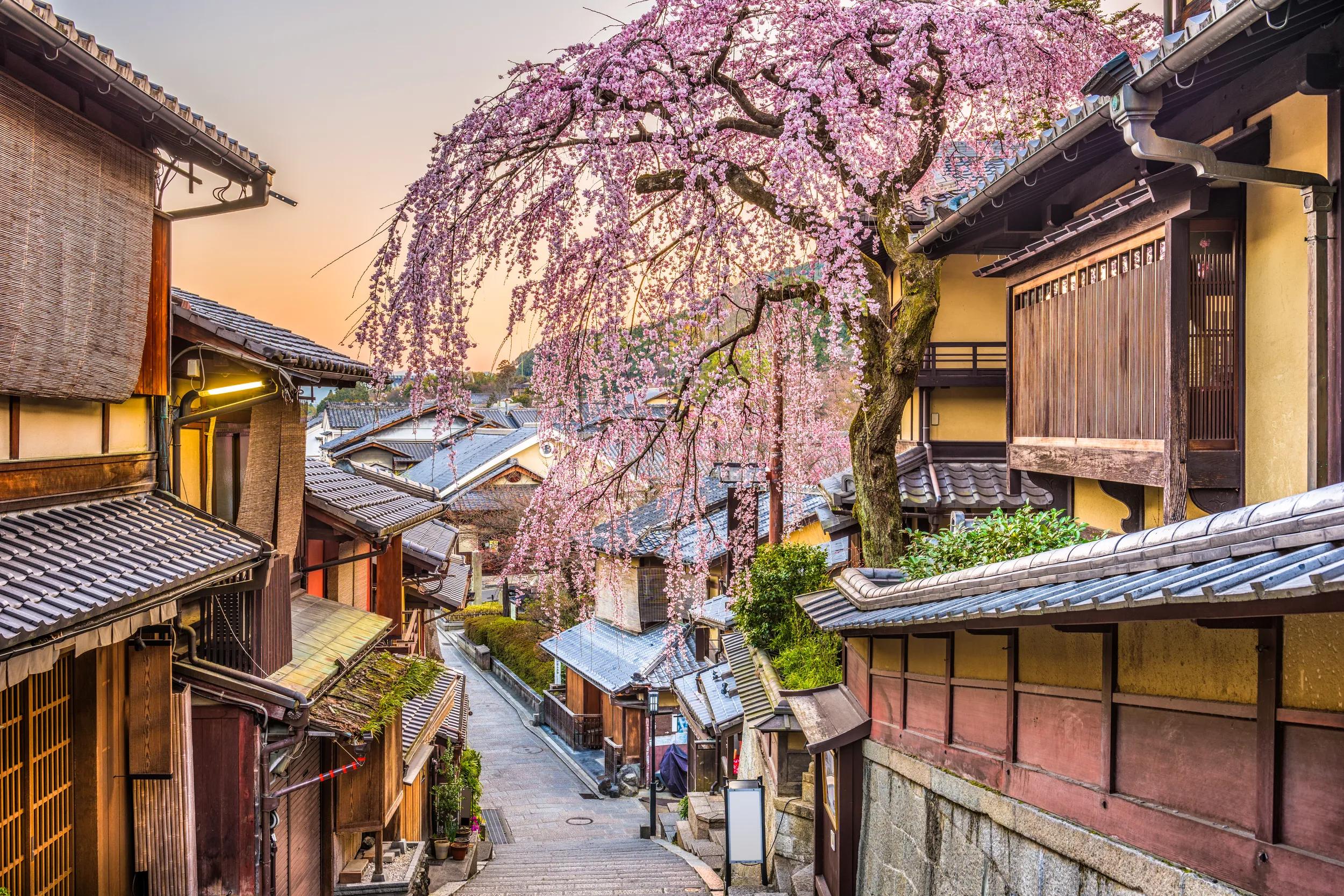 Kyoto, Japan springtime at the historic Higashiyama distirct.