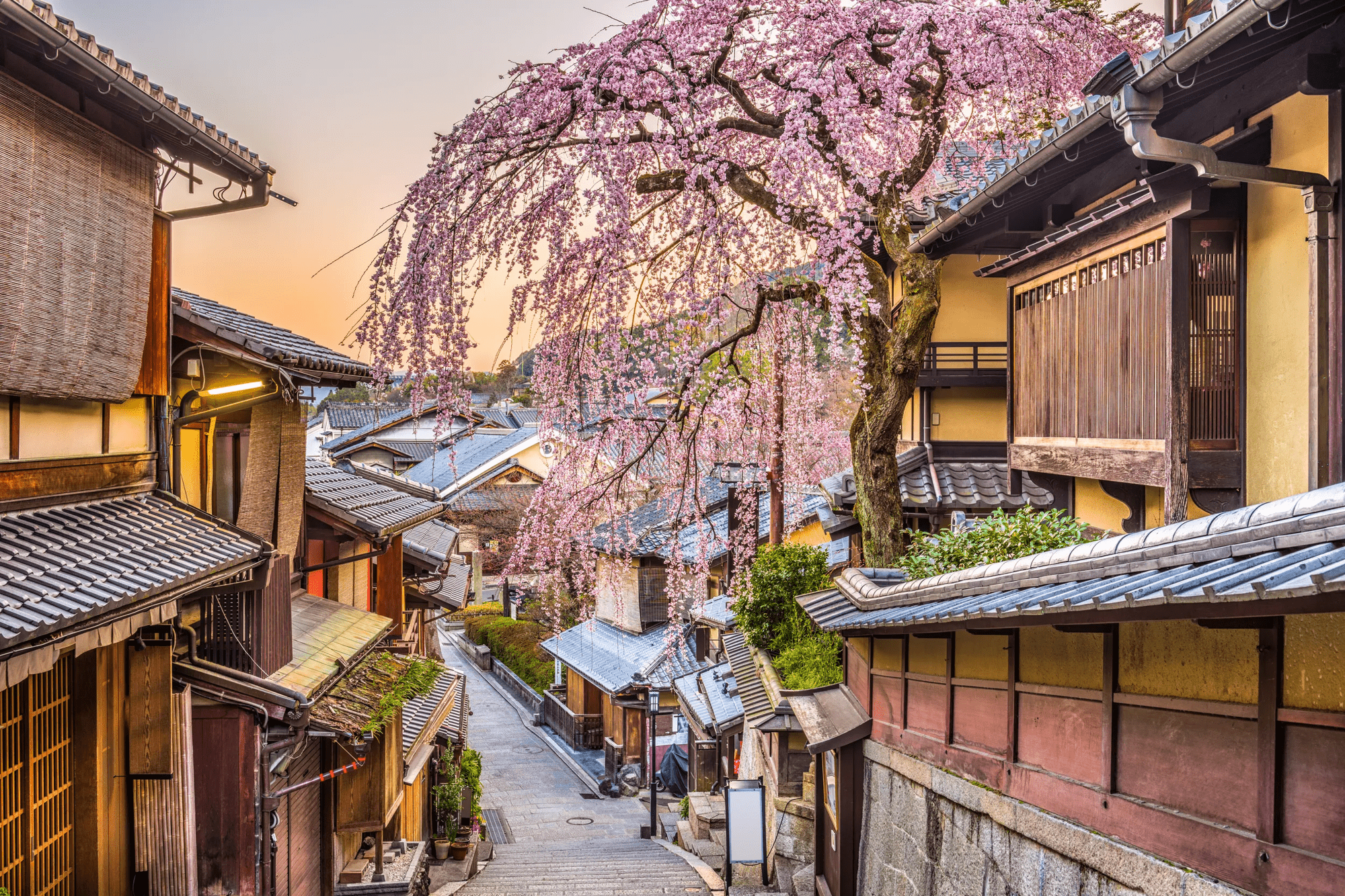 14-daagse treinrondreis Japan afbeelding
