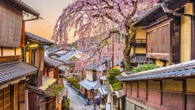 Kyoto, Japan springtime at the historic Higashiyama distirct.