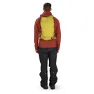 Osprey Glade 12 babylonica yellow
