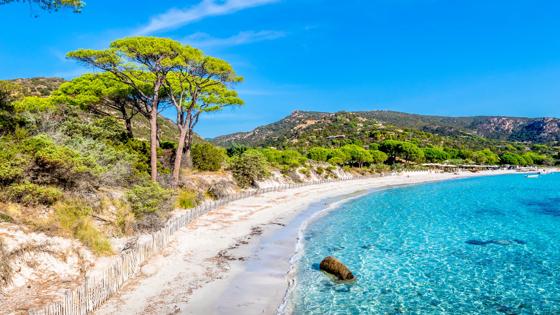 Frankrijk-Corsica-strand-zee-palombaggia-Getty