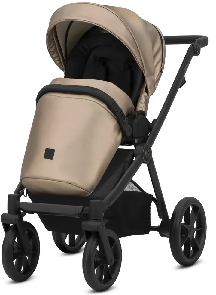 Brav 2-in-1 Kinderwagen