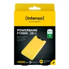 Intenso F10000 Powerbank 10.000mAh
